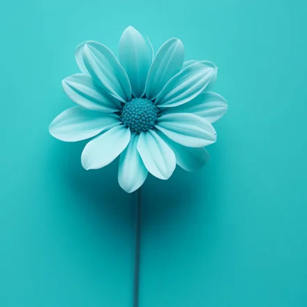 blue flower is blue background
