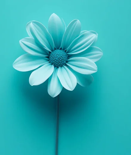 blue flower is blue background